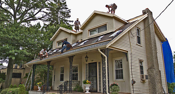 Best Roof Gutter Cleaning  in Sleepy Hollow, WY